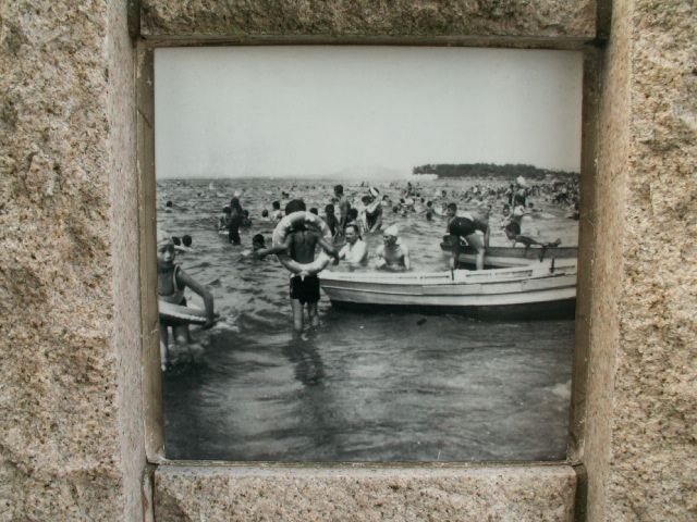 swim02.jpg