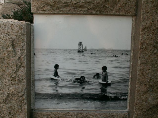 swim03.jpg