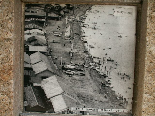 swim04.jpg