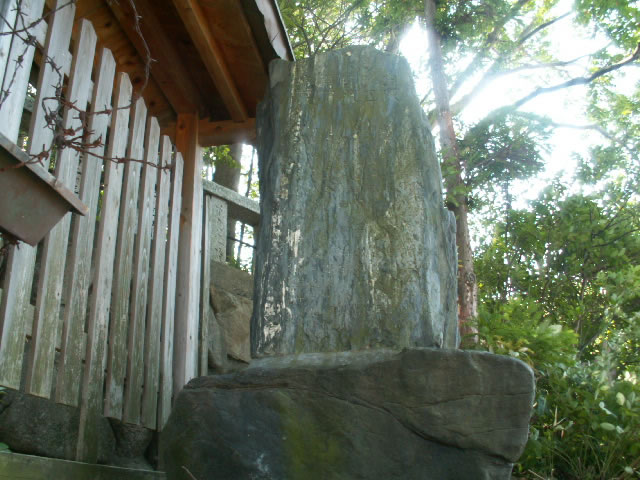 kikuchi15.jpg